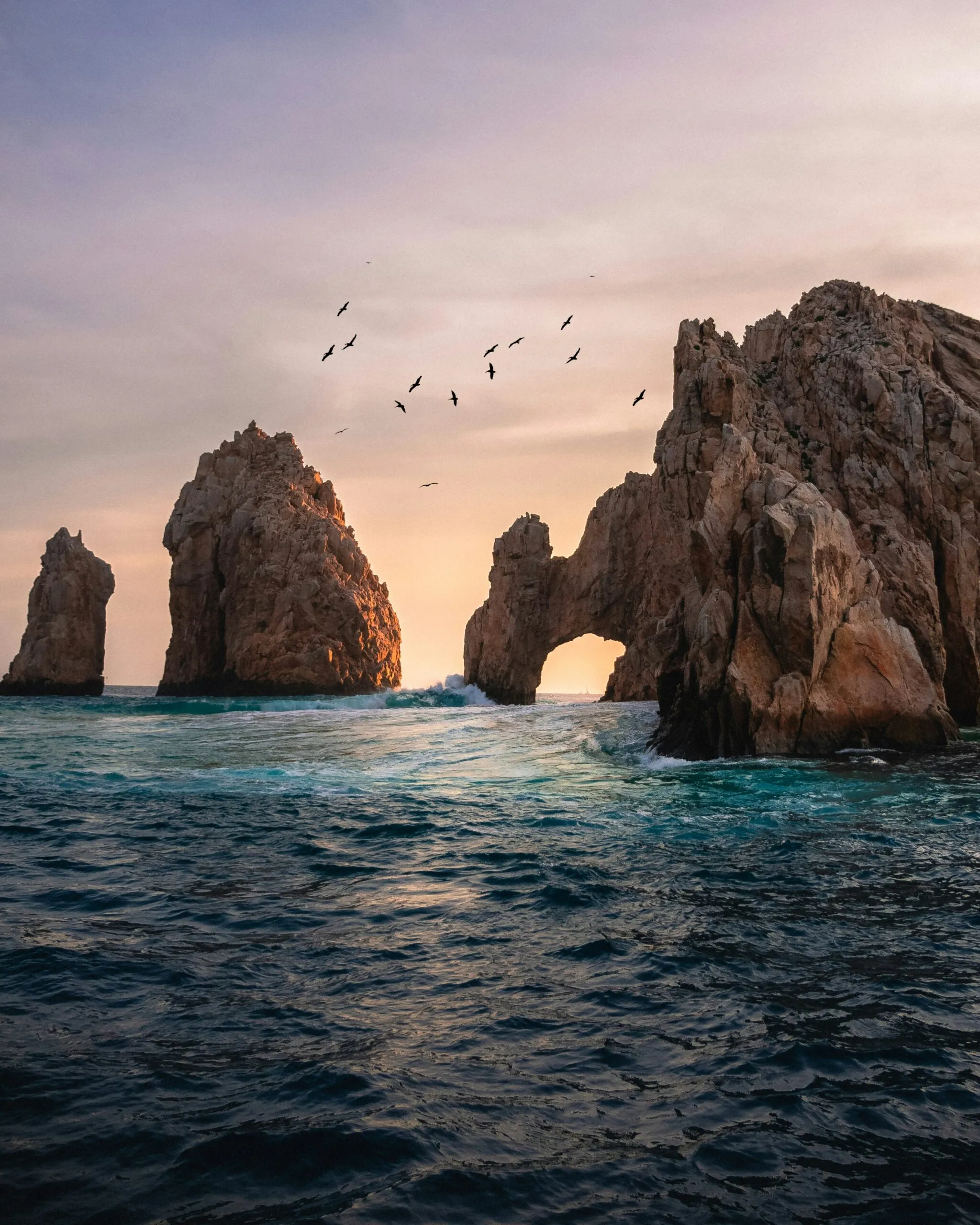 Whale watching Sea of Cortez