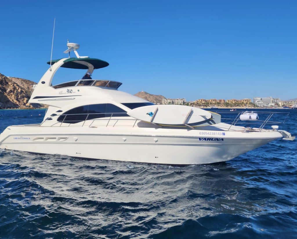 5893e6bf-447e-4efb-9f1c-3424a1af6785-rbhf8bypxuymsk77vfr4mqawk7gv9t4go0sht1gnjk