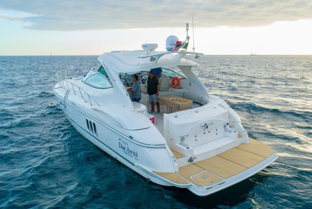 WhatsApp Image 2025-12-09 at 12.36.21