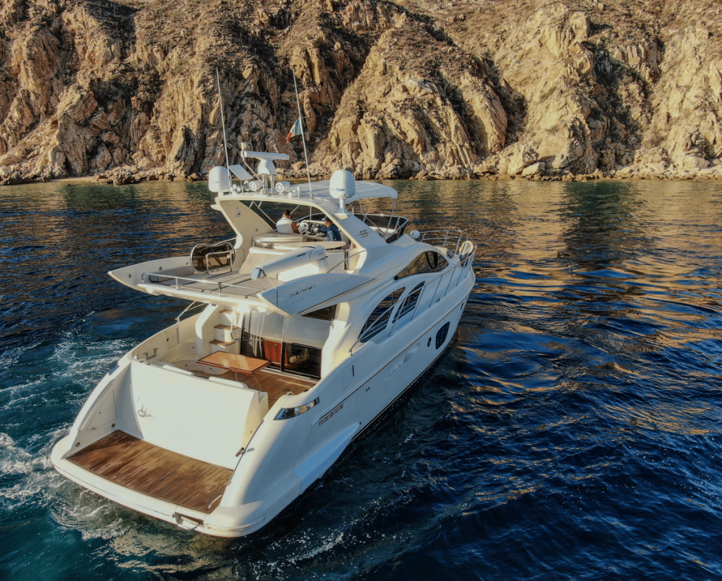 WhatsApp Image 2024-12-16 at 23.29.25 Large