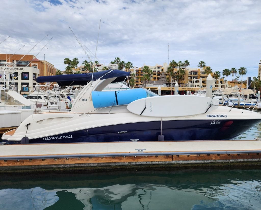 b0163f2a-4eff-4378-b7e6-8858fa7b6c92